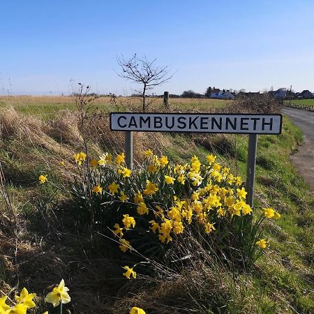 The Cambus Flat Cambuskenneth Stirling Daire Dış mekan fotoğraf