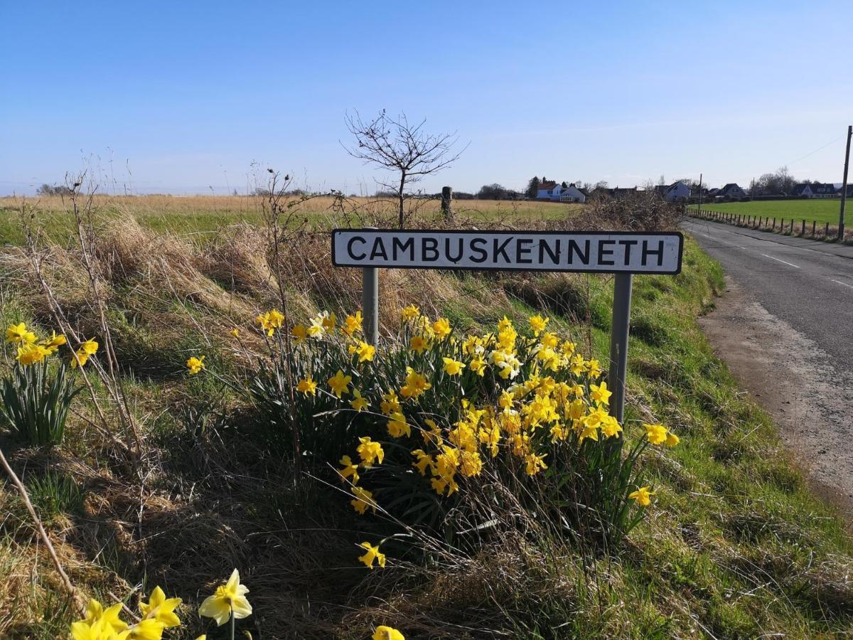 The Cambus Flat Cambuskenneth Stirling Daire Dış mekan fotoğraf